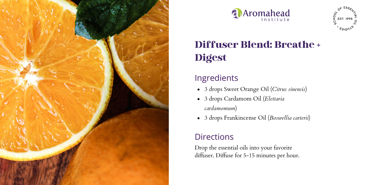Diffuser Blend Breathe + Digest