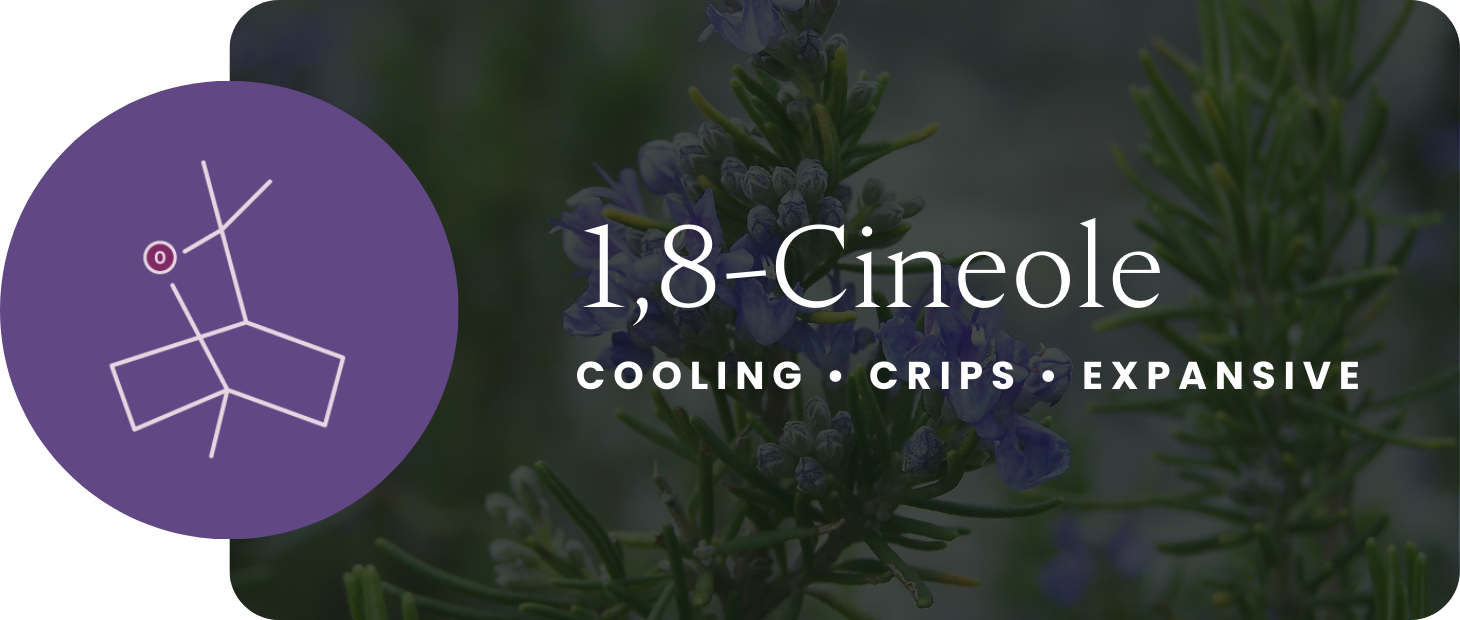 18cineole-chemistry